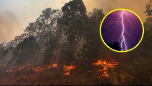 Curarrehue bajo Alerta Roja por incendio forestal originado por dos rayos