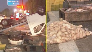 Camión con pescados y mariscos se vuelca en Autopista Central: Autoridades trabajan para despejar la vía