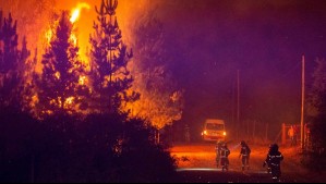 Senapred declara Alerta Roja para Melipeuco por incendio forestal provocado por caída de rayo