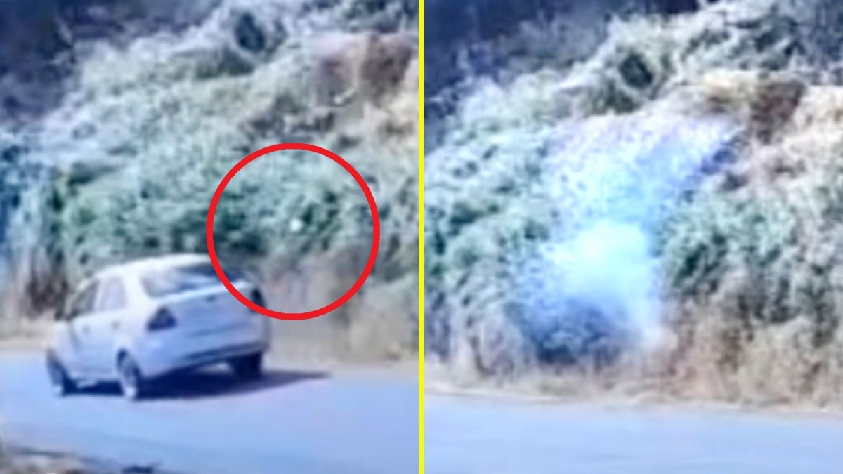 Incendio forestal en La Cruz: Video muestra momento en que bombero habría arrojado elemento incendiario a pastizales