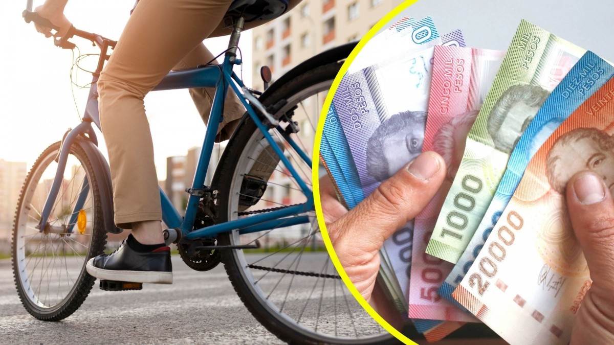 Ciclista será indemnizado con más de $150 millones tras ser atropellado por un bus en Camino Melipilla