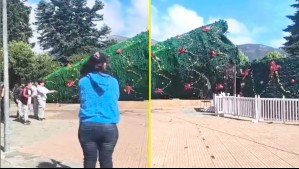 Fuerte viento botó árbol de navidad de 24 metros de alto en Coyhaique: Había sido inaugurado hace menos de una semana