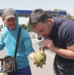 Un divertido momento protagonizó el periodista Daniel Silva en Cúcuta, en la frontera entre Colombia y Venezuela, cuando un vendedor que cruzaba el paso le dio a probar agua directamente de un coco.