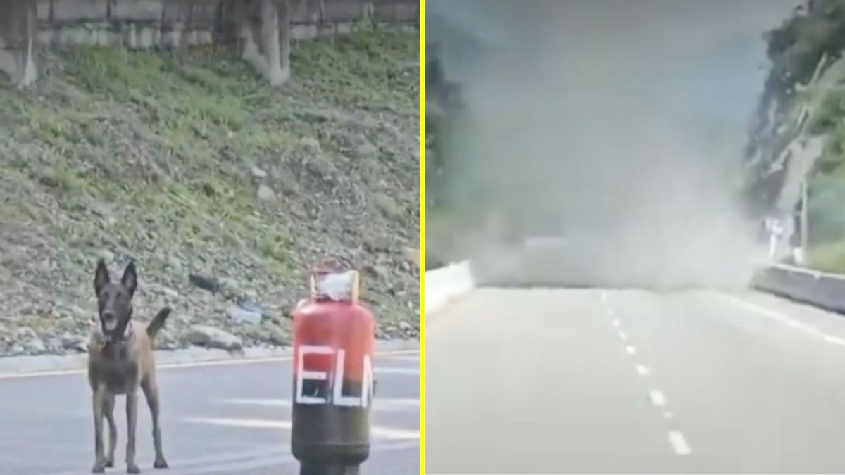 Equipo de Meganoticias en la frontera de Venezuela: Daniel Silva reportó que detonaron artefacto explosivo en Cúcuta