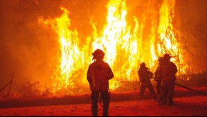 Senapred declara alerta roja para Constitución por incendio forestal