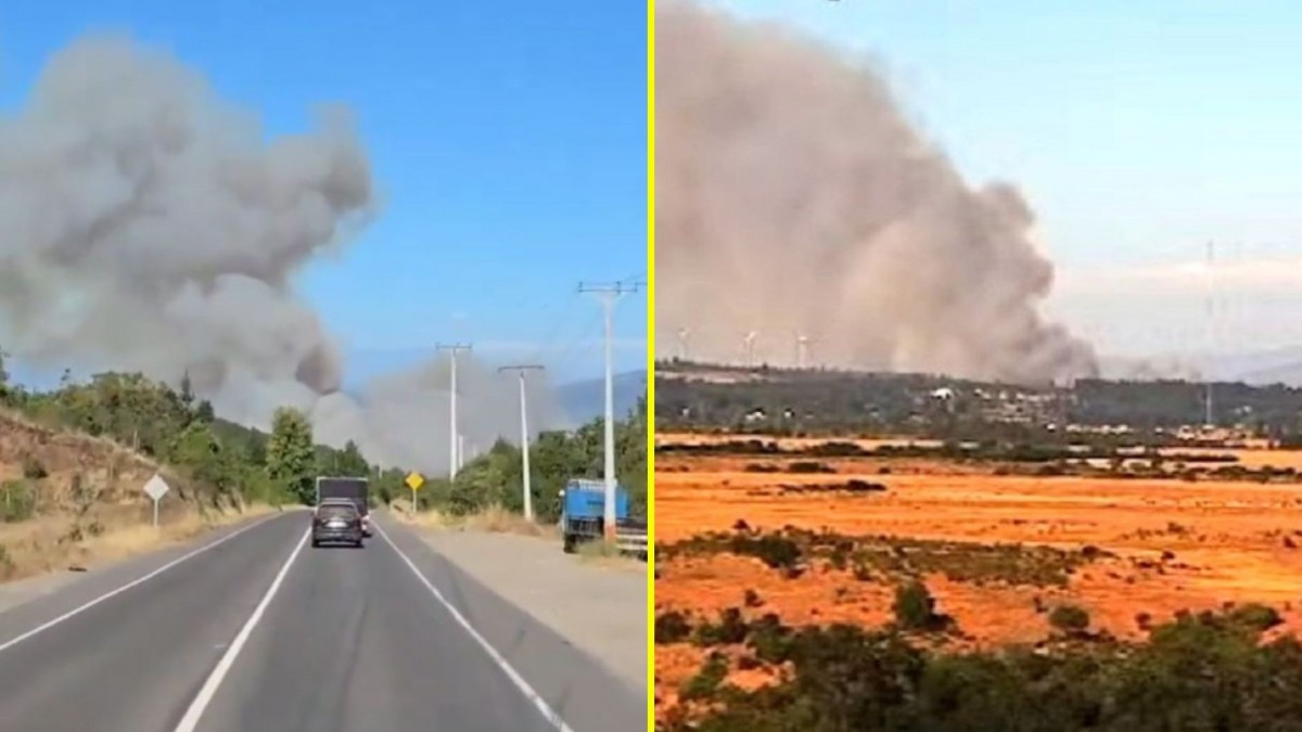 Declaran Alerta Roja en Litueche por incendio forestal 'cercano a sectores poblados'
