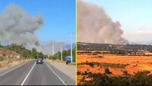 Declaran Alerta Roja en Litueche y llaman a evacuar sector de Pichilemu por incendio forestal