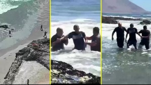 Se lanzó al mar para evitar ser detenido: Video capta huida y detención de asaltante en Iquique