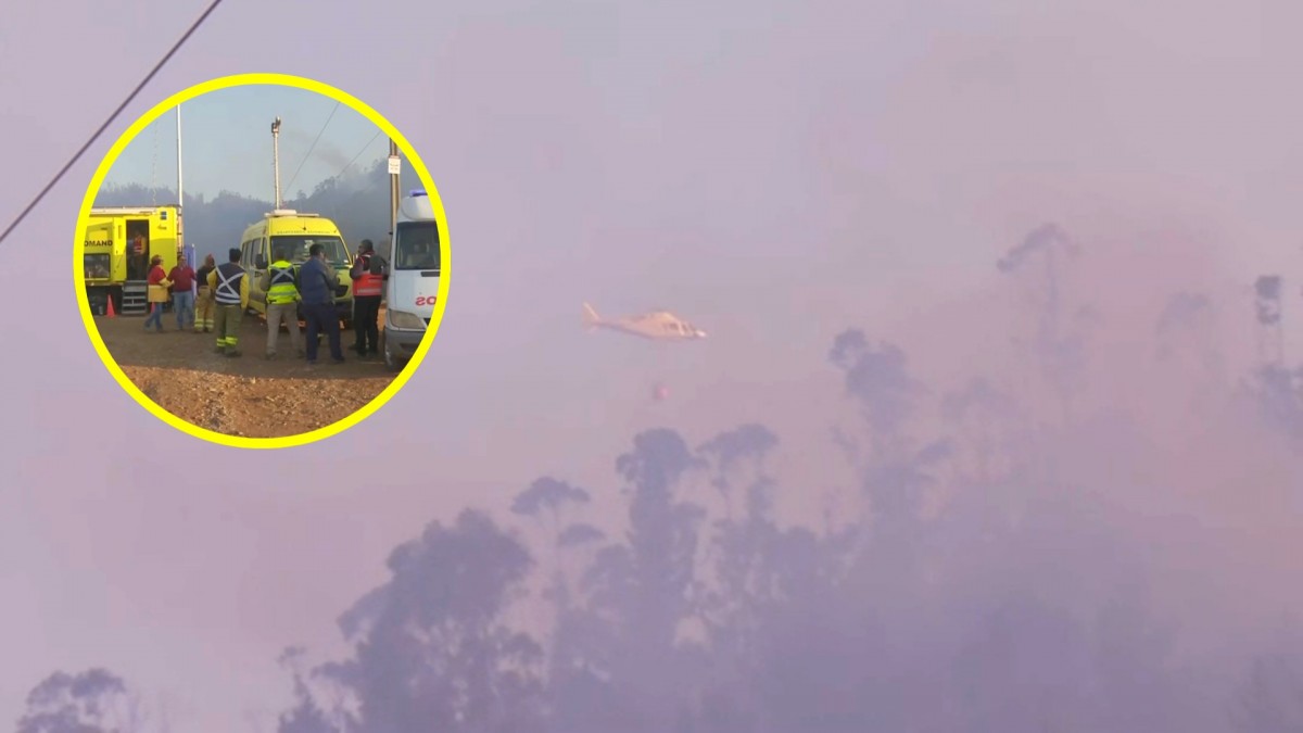 Sobre 50 hectáreas afectadas por incendio forestal en Constitución: Lleva más de 24 horas en combate