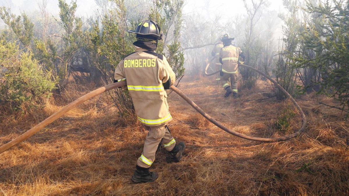Incendio forestal en Constitución: Continúa combate del fuego que estuvo cerca de alcanzar sectores poblados