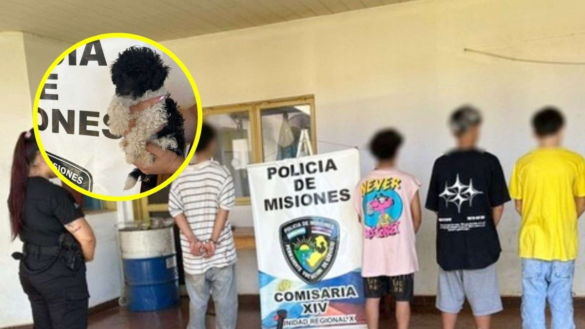 Ladrón entró a robar a una casa y amenazó con asfixiar al perro de la familia para no ser detenido