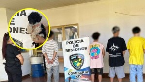 Ladrón entró a robar a una casa y amenazó con asfixiar al perro de la familia para no ser detenido