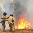Continúa el trabajo de Conaf y Bomberos para controlar el incendio forestal que afecta a San Pedro, en la Región Metropolitana. El fuego ya ha consumido más de 450 hectáreas y tres casas, por lo que se mantiene la Alerta Roja.