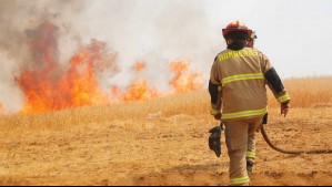 Solicitan evacuar tres sectores de Santo Domingo por incendio forestal