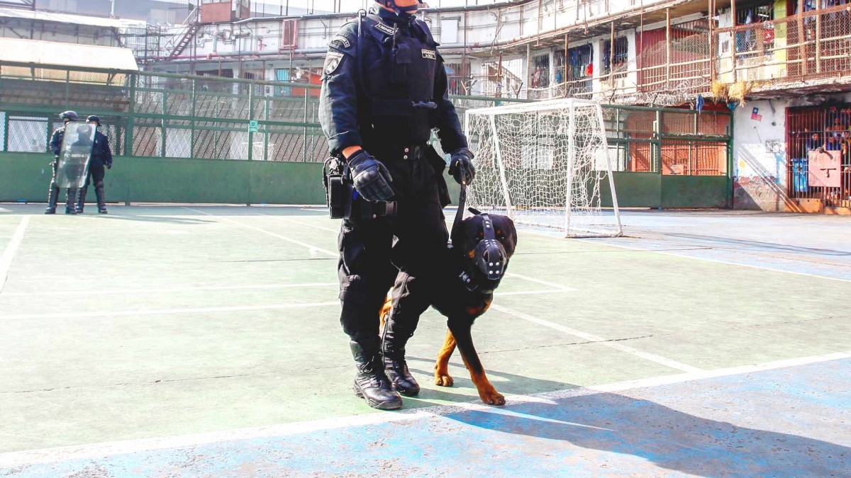 Delivery, feria y rescate como sistema de negocio: Todos los detalles de la 'Operación Apocalipsis' en las cárceles