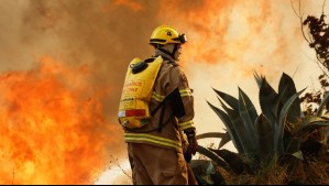 Alerta Roja en Los Ángeles: Evacúan sectores de la comuna por incendio forestal que ha destruido 3 viviendas