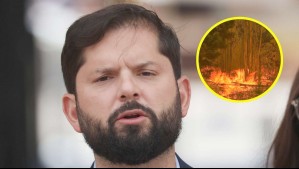 Boric llama a la responsabilidad para prevenir incendios forestales: 'Quienes los provocan pueden convertirse en asesinos'