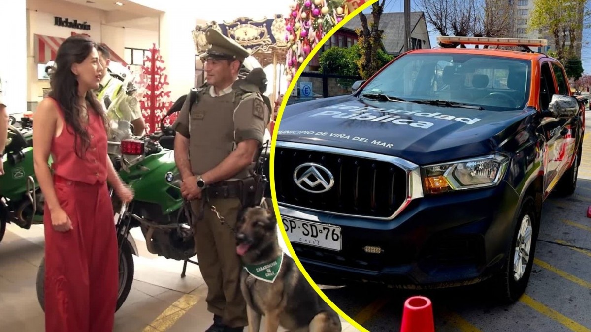 Plan Navidad Segura 2025 en Viña del Mar: Municipio refuerza trabajos con Carabineros en sectores comerciales