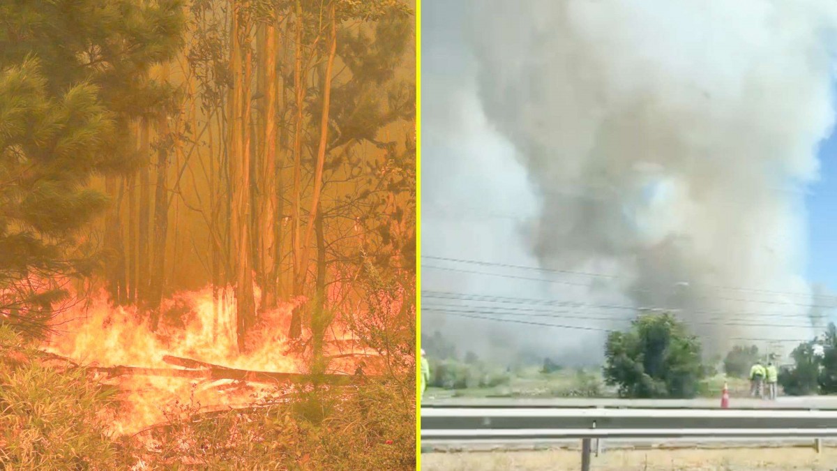 Alerta roja en Chillán Viejo por incendio forestal que amenaza sectores poblados
