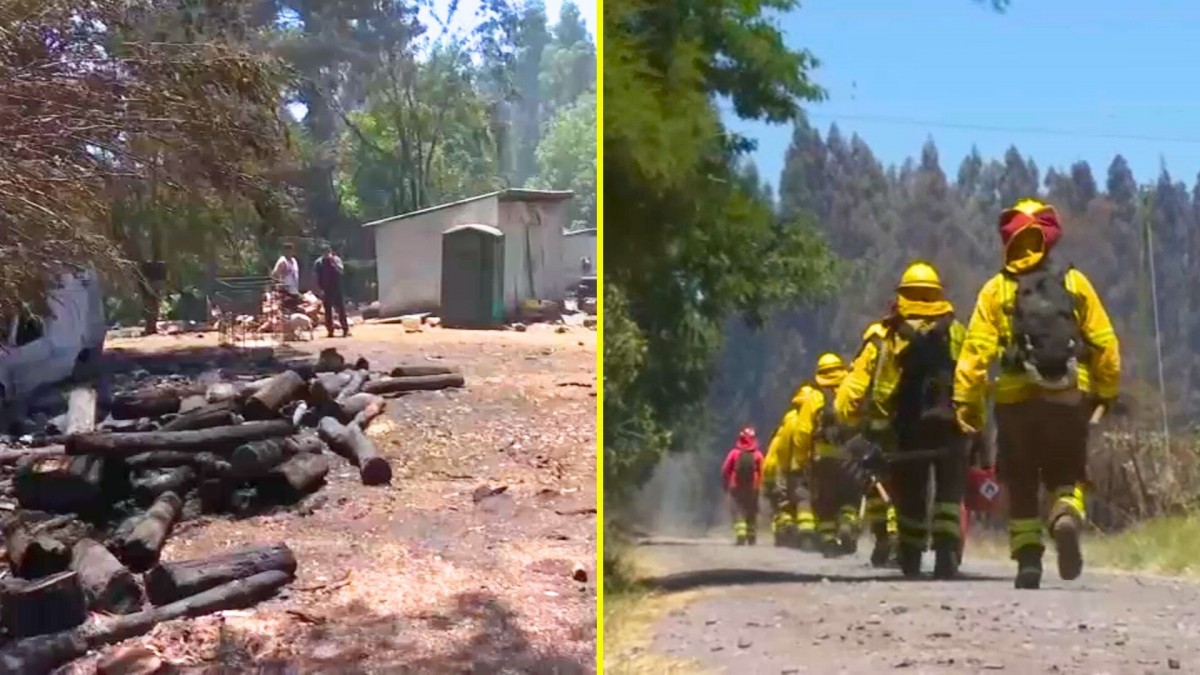 Indagan posible intencionalidad: Combaten al menos cuatro focos de incendio forestal en Los Ángeles