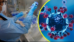 'Supergripe' en Chile: Ministerio de Salud confirma detección de variante de influenza H3N2