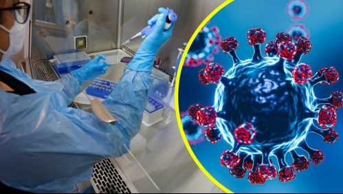 'Supergripe' en Chile: Ministerio de Salud confirma detección de variante de influenza H3N2