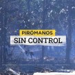 Como muchos de los incendios forestales, en la región de Biobío una gran parte son intencionados. Conoce quiénes están detrás de estos desastres naturales en el reportaje de Mega Investiga.