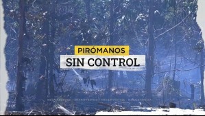 Pirómanos sin control: ¿Quiénes están detrás de los incendios forestales en el Biobío?