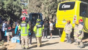 Estaban de paseo: Bus con adultos mayores sufre accidente de tránsito en Vichuquén