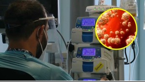 Llegada de la 'súper gripe' a Chile: Todo lo que debes saber respecto al Subclado K de la Influenza A H3N2