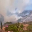 La tarde de este sábado el Servicio Nacional de Prevención y Respuesta ante Desastres (Senapred) ordenó la evacuación de un sector de la ciudad de La Serena, en la región de Coquimbo, debido a un incendio forestal. ¡Detalles!