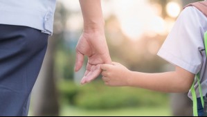 AFP retuvieron fondos de casi 130 mil deudores de alimentos por US$600 millones