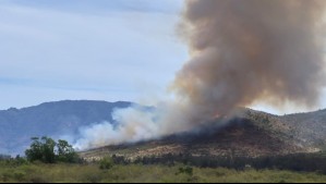 Senapred declara Alerta Roja en Zapallar y La Ligua por incendio forestal: Se ordenó la evacuación de un sector