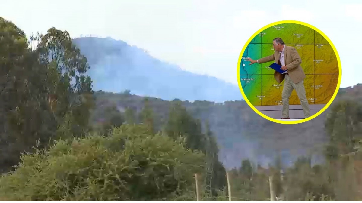Meteorólogo de Megatiempo explica factores climáticos en el desarrollo de incendio forestal en Zapallar