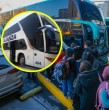 Buses Alianza debuta como nueva empresa de transporte interurbano con viajes directos al sur del país. Conoce todos los detalles de la noticia como las rutas y precios.