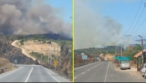 Evacúan sectores de la región de O'Higgins por incendio forestal cerca de sectores poblados