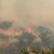 Conoce los estragos que está dejando el incendio forestal que se originó este martes en Litueche, región de O\\\'Higgins. Ya se contabilizan al menos tres viviendas destruidas y casi 400 hectáreas consumidas.