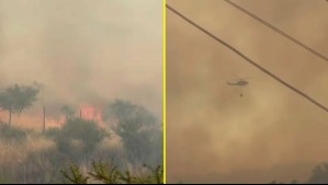 Incendio forestal en Litueche: Fuego deja 3 viviendas destruídas y casi 400 hectáreas consumidas