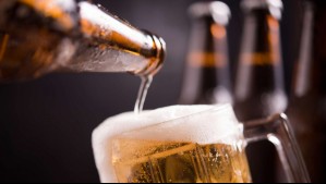 ¿Fanático de la cerveza? Universidad del sur de Chile lanza diplomado en 'ciencia cervecera'