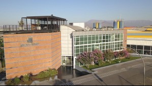 El fin de Nibsa: Empresa es vendida y adelanta que habrá términos de contrato 'de una parte importante de su personal'