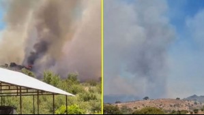 'Amenaza directa a viviendas': Declaran Alerta Roja por nuevo incendio forestal en San Pedro de Melipilla