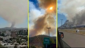 Tres focos de incendio en el Maule: Fuego ha consumido más de 250 hectáreas afectadas y amenaza a viviendas