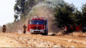 Senapred solicita evacuar sectores de la región del Maule por incendio forestal