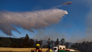 Decretan alerta roja para la comuna de Pichidegua por incendio forestal: Llamas están cercanas a sectores habitados