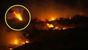 'Humedad no aumentará, pero sí el viento': Adversas condiciones climáticas reactivan varios focos de incendios forestales