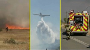 Nuevo foco de incendio en el Maule: Fuego en sector de Linares de Perales está cerca de sectores habitados
