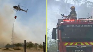 Evacúan sector de la región del Maule por incendio forestal: Fuego es combatido por aire y por tierra