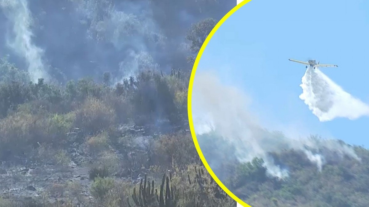 Incendio forestal en Pichidegua habría sido provocado por niños: Habrían estado jugando con un encendedor