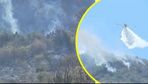 Incendio forestal en Pichidegua habría sido provocado por niños: Habrían estado jugando con un encendedor