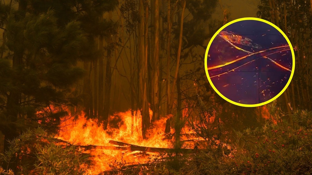 'Agentes de propagación': ¿Qué son las pavesas y cómo influyen en los incendios forestales?